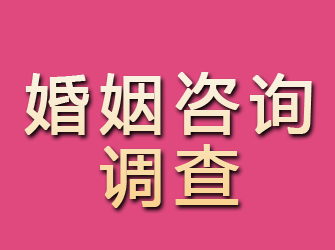 额济纳旗婚姻咨询调查